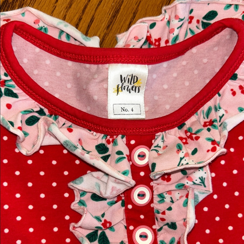 Wild Flowers Matching Holiday Set - Ruffles - EUC - size 4 - Picture 3 of 6
